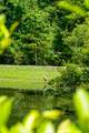 2134 Saint Johns Woods Parkway - Photo 53