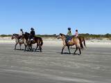 2001 Long Bend - Photo 49