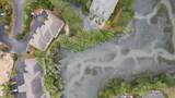 2001 Long Bend - Photo 54