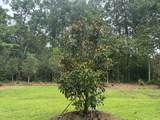 125 Berry Shoals Drive - Photo 42