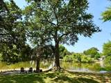 691 Blue Heron - Photo 1