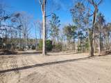 209 Ash Hill Drive - Photo 4