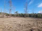 209 Ash Hill Drive - Photo 5