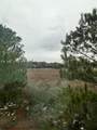 107 Aplomb Alley - Photo 16