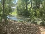 688 Pelzer Drive - Photo 6