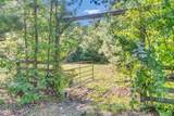 1236 Spring Hill Church Road - Photo 32