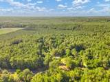 1236 Spring Hill Church Road - Photo 42
