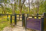 3020 Candela Grove Drive - Photo 66
