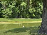 866 Rue Drive - Photo 21
