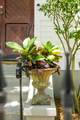 41 Pitt Street - Photo 108
