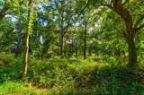00 Arsburn Road Road - Photo 4
