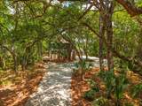 8840 Marsh Aire Lane - Photo 5