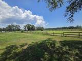 2510 Brewton - Photo 6