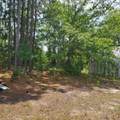 4091 Columbia Highway - Photo 24