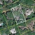 256 Forest Trail - Photo 29
