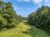 0 Boy Scout Road - Photo 13