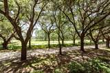 60 Fenwick Hall Allee - Photo 6