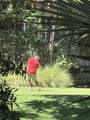 329 Sea Cloud Circle - Photo 20
