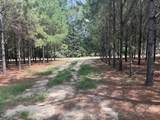 187 Tiny Lane - Photo 8