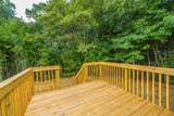 118 Orchid Loop - Photo 66