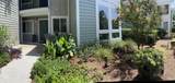 264 Alexandra Drive - Photo 1
