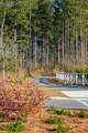 283 Ivory Shadow Road - Photo 57