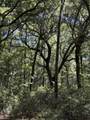 0 Gnarled Oaks Lane - Photo 31