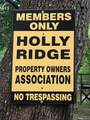 1239 Holly Ridge Lane - Photo 38