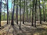 0 White Sands Road - Photo 5