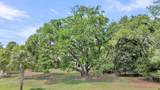 8476 Bottlenose Court - Photo 44