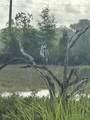11 Rising Tide Drive - Photo 47
