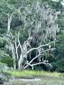 11 Rising Tide Drive - Photo 53