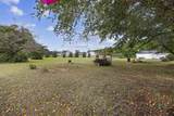 1240 Rhame Street - Photo 35