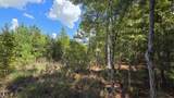 1331 Brewington Road - Photo 58