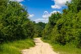 602 Two Mile Run - Photo 84