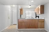 807 Andrea Lane - Photo 8