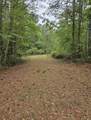 1300 Misty Ridge Lane - Photo 2