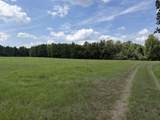 286 Shrike Road - Photo 12