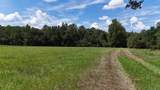 286 Shrike Road - Photo 2