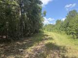 286 Shrike Road - Photo 9