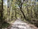 1636 Wharf Ferry Road - Photo 70