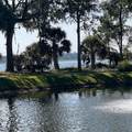 130 River Landing Drive - Photo 43