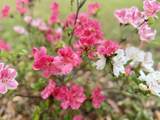 2810 Sc-174 - Photo 25