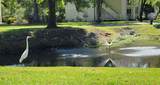 2349 Tall Sail Drive - Photo 39
