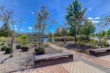 106 Bright Leaf Loop - Photo 37