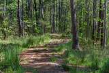 0 Durgin Place Road - Photo 6