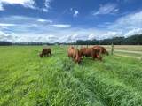 10970 Hwy 17 - Photo 77