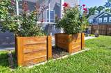2901 Fontana Street - Photo 30