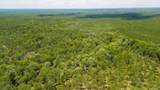672 Plum Branch Road - Photo 5
