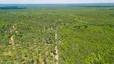 672 Plum Branch Road - Photo 58